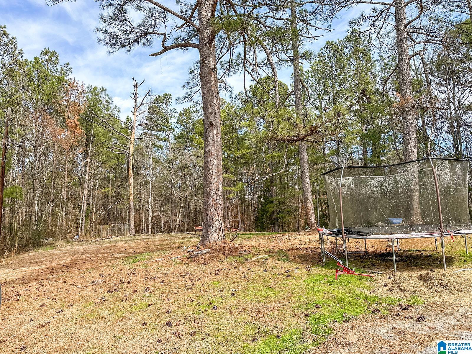 2126 Cedar Springs Road Jacksonville, AL 36265 - Photo 37 of 44