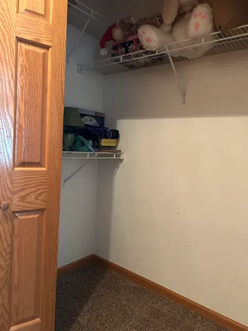 a view of a closet with storage