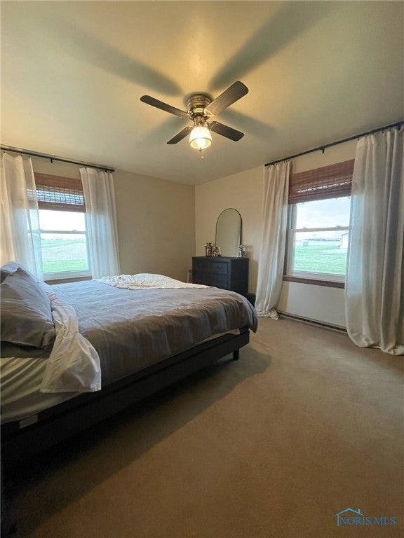 2080 County Road East Edgerton, OH 43517 - Photo 17 of 47 Primary bedroom