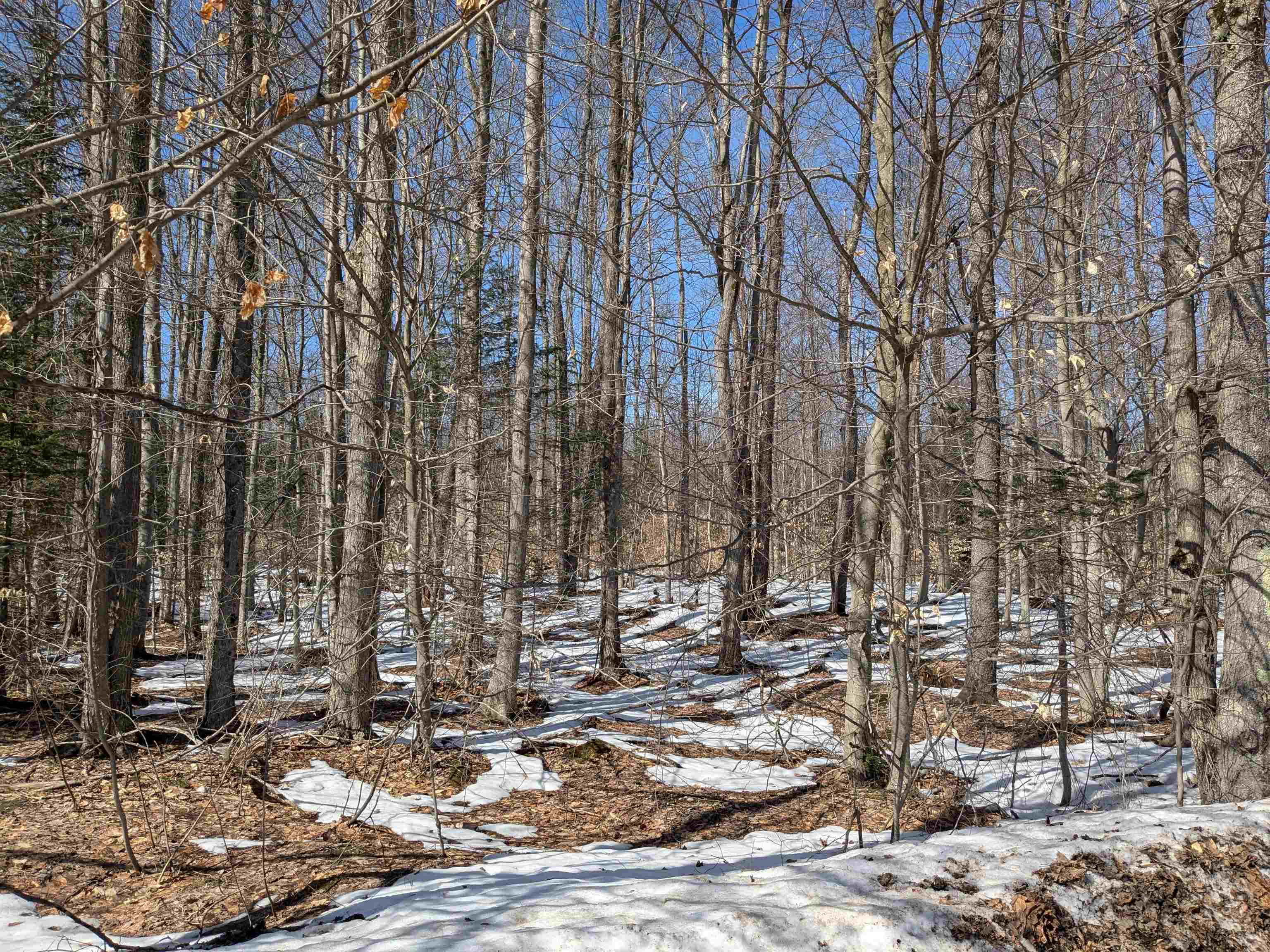 0 Number One Road Thompsonville, MI 49683 - Photo 1 of 9
