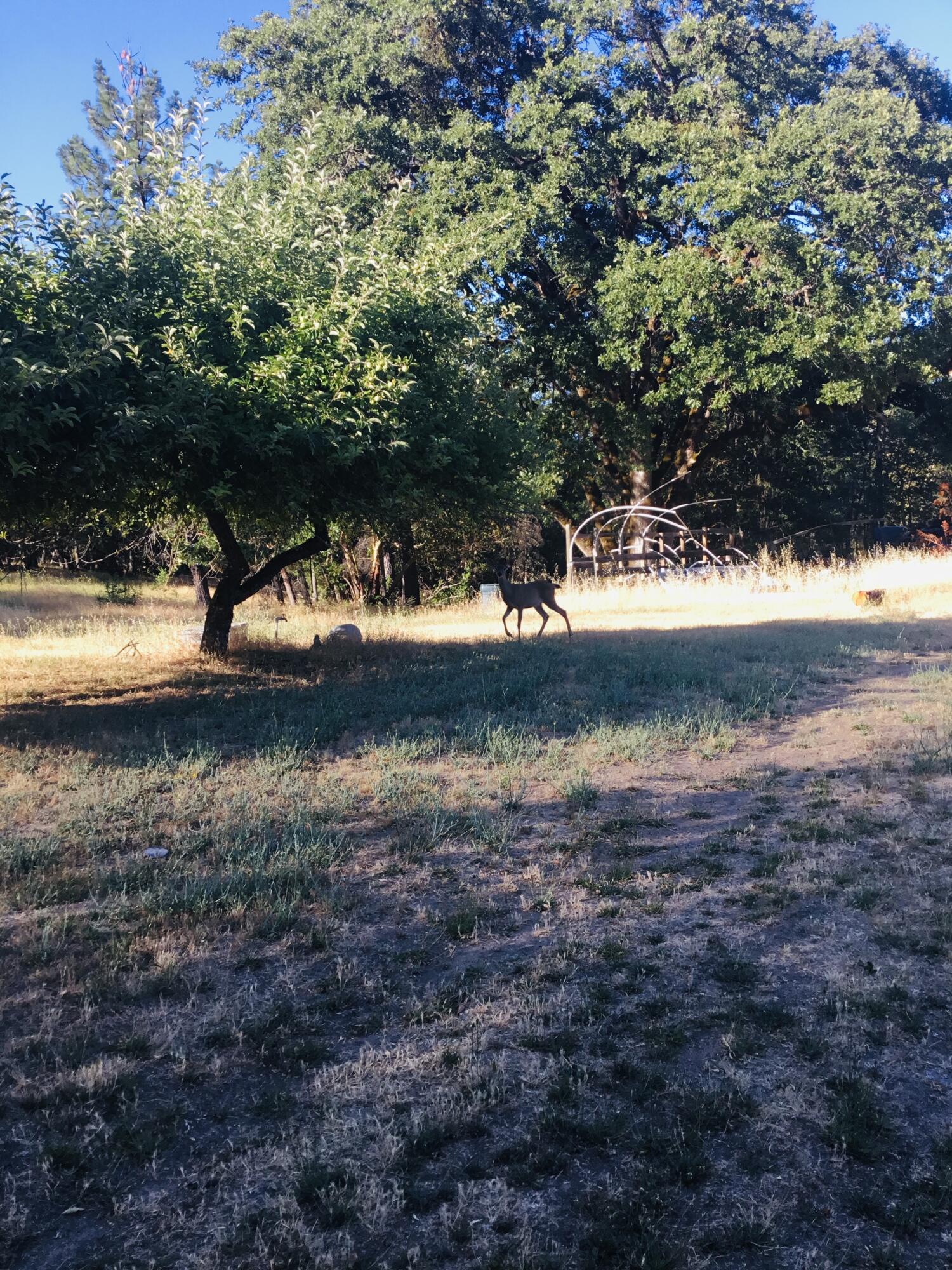 871 Dennis Boulevard Burnt Ranch, CA 95527 - Photo 41 of 47