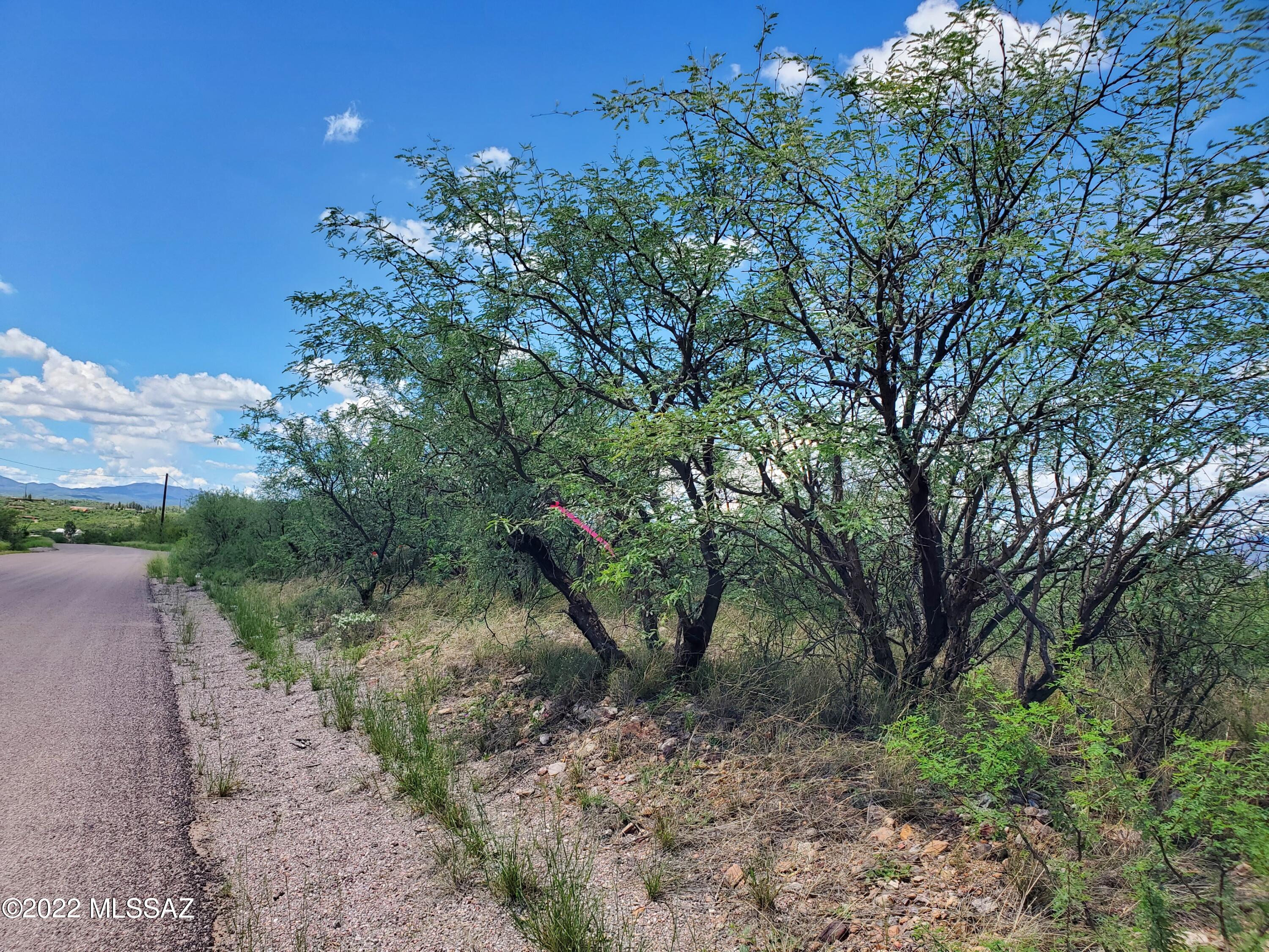 211 Paseo Mascota, Unit 4 Rio Rico, AZ 85648 - Photo 11 of 15