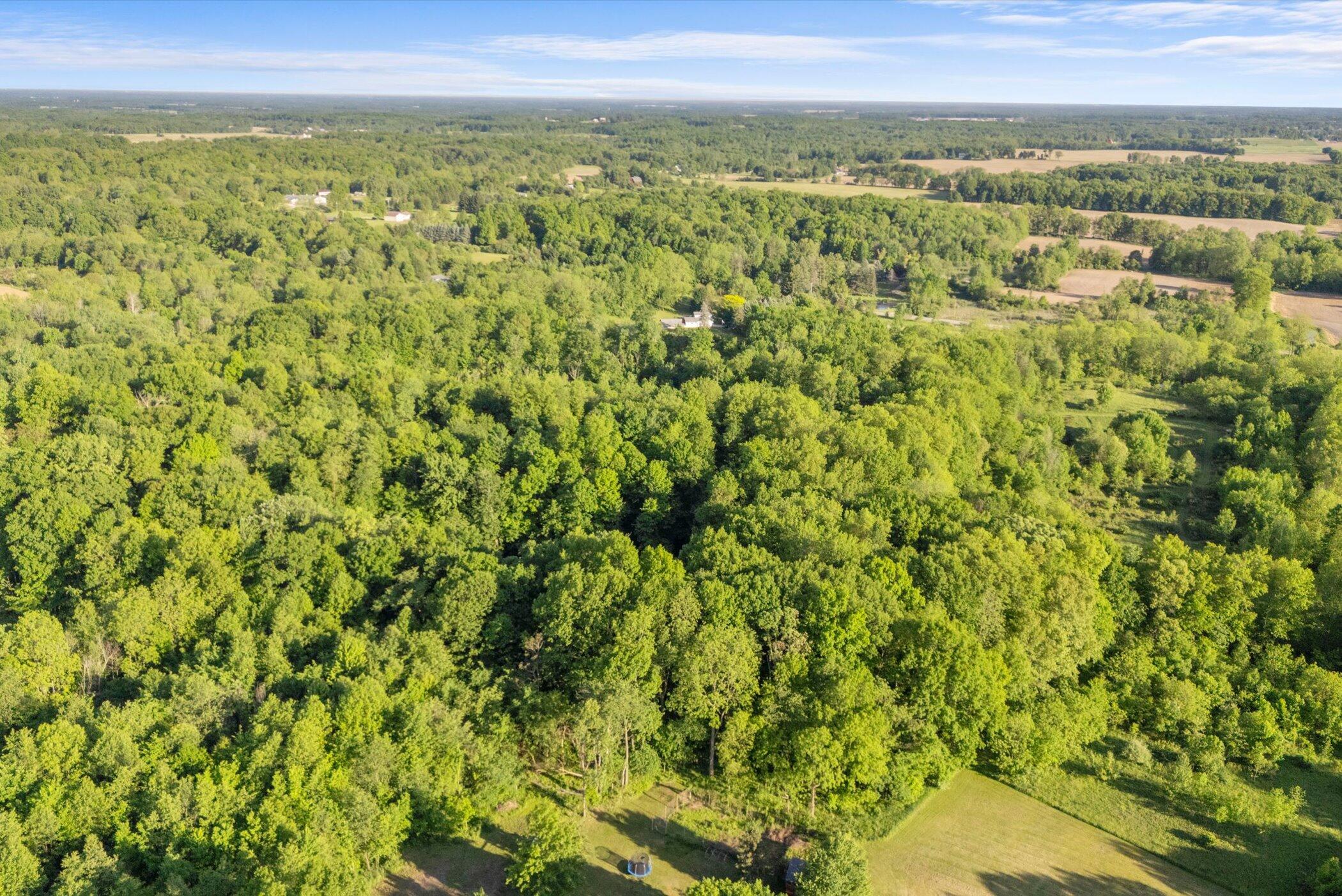 15300 Rome Road Manitou Beach, MI 49253 - Photo 41 of 59 16-DJI_20260517192909_0391_D