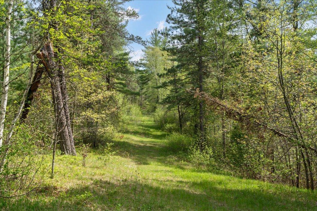 27965 County 7 Park Rapids, MN 56470 - Photo 50 of 57