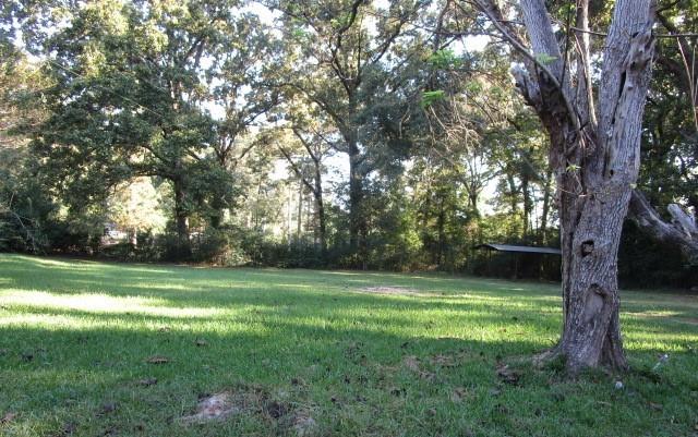 239 Spring Creek Road Jena, LA 71342 - Photo 3 of 27