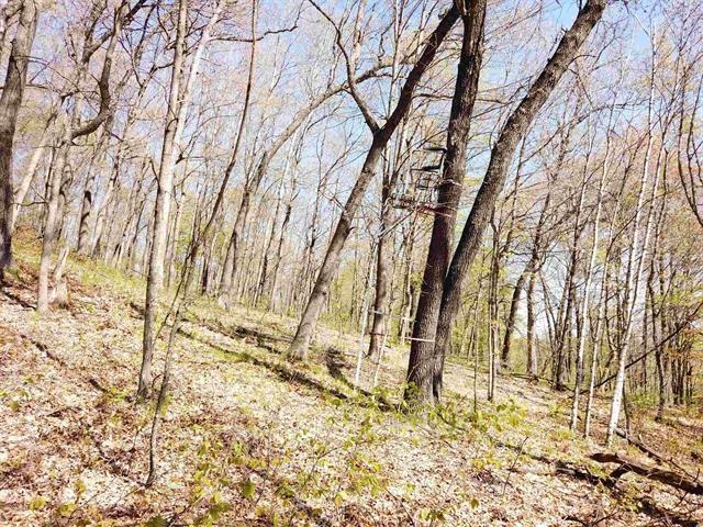 17511 Havenwood Road Sparta, WI 54656 - Photo 16 of 24