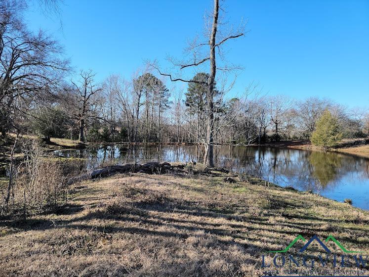 3372 Red Maple Road Big Sandy, TX 75755 - Photo 26 of 34 Gallery Image 26
