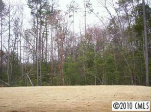 830 Solandra Way Tega Cay, SC 29708 - Photo 3 of 6