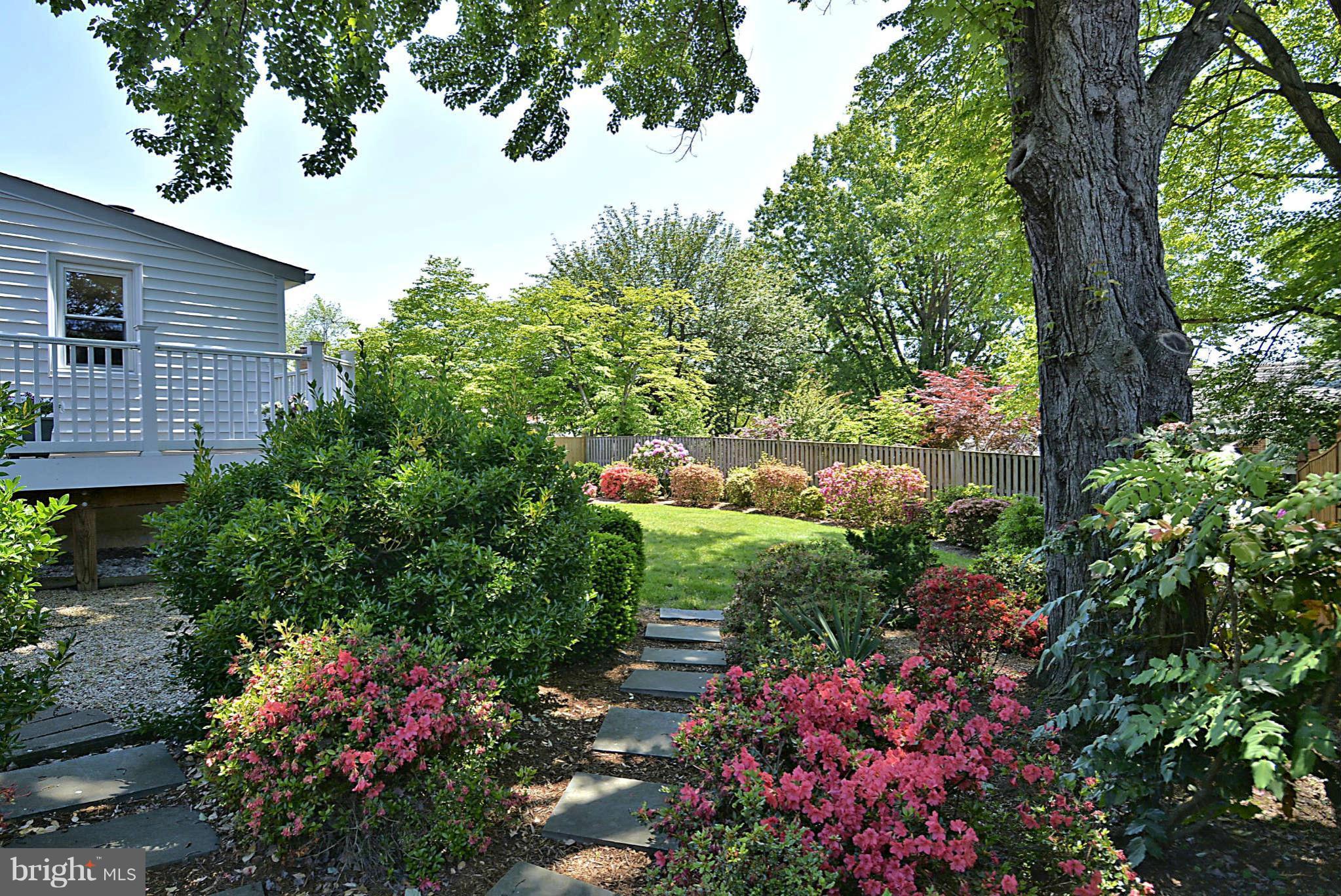 4502 Woodfield Road Kensington, MD 20895 - Photo 22 of 30 Exterior (General)