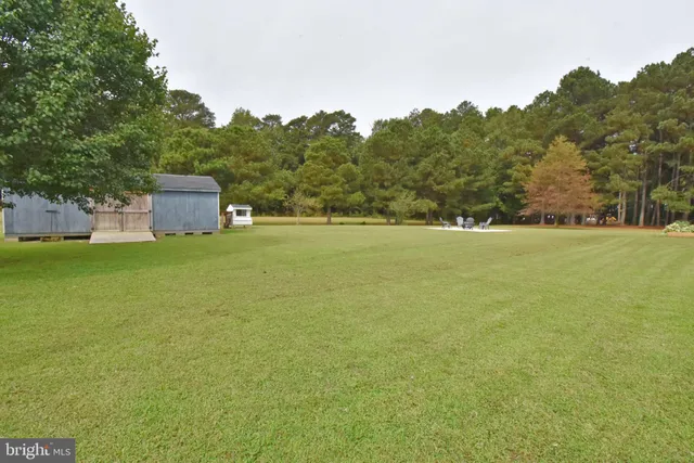 a view of a big yard with large trees