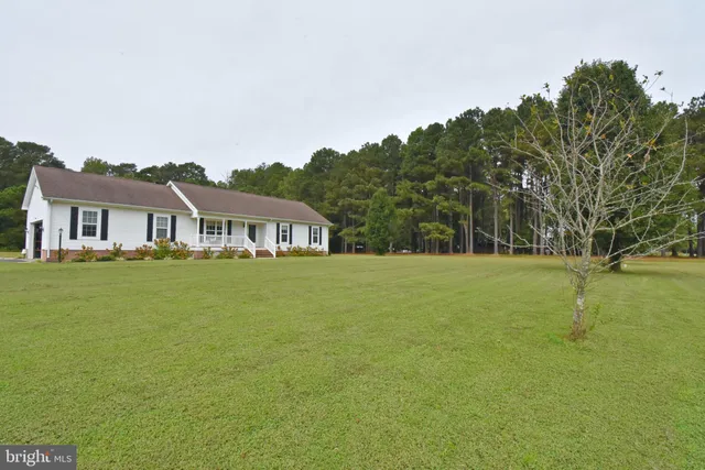 a view of a big yard with plants and large trees