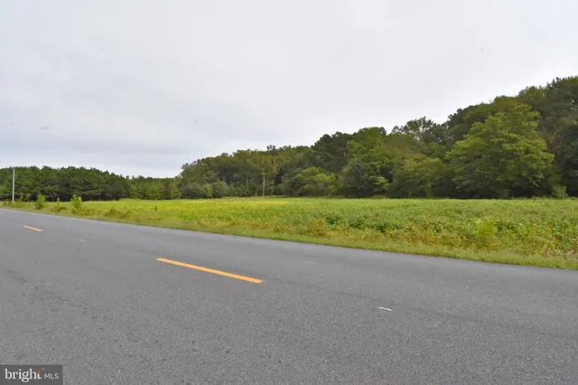 a view of a field with an ocean