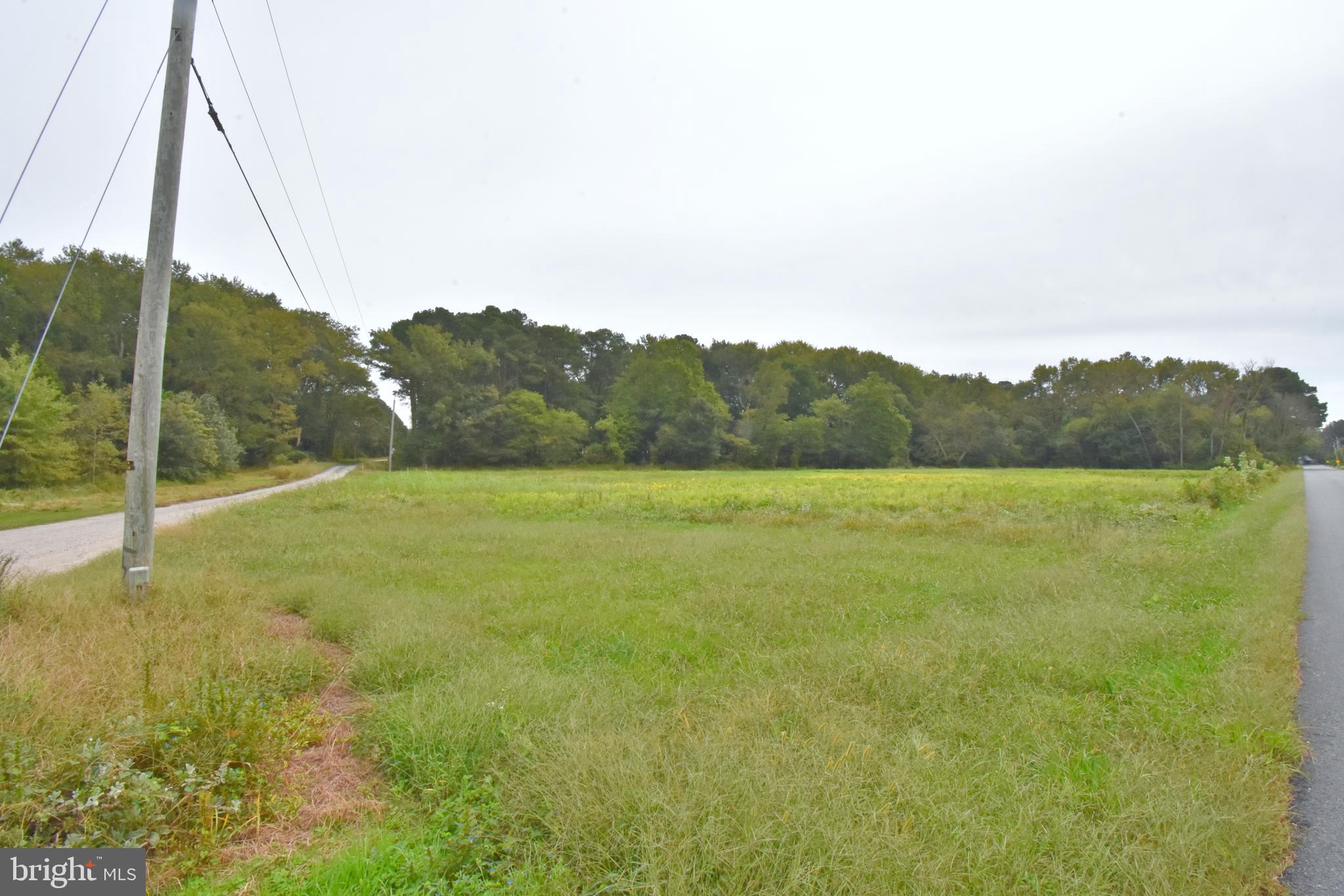 6600 Old Westover Marion Road Westover, MD 21871 - Photo 52 of 52 a view of a field with an ocean