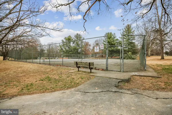 a view of yard with tree