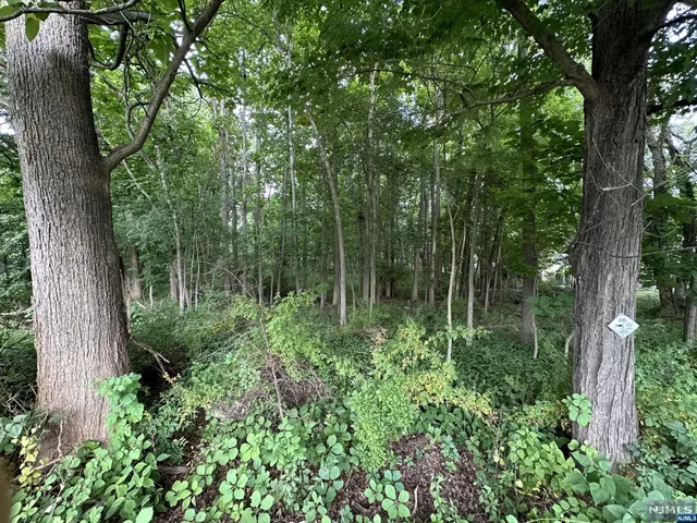 $399,000 | 156 Fairfield Avenue, West Caldwell, NJ 07006