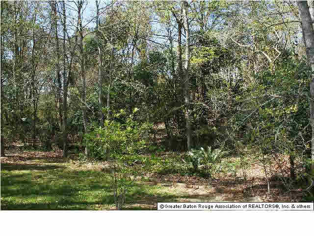 3924 Overlook Point Court Baton Rouge, LA 70817 - Photo 3 of 8 Gallery Image 3