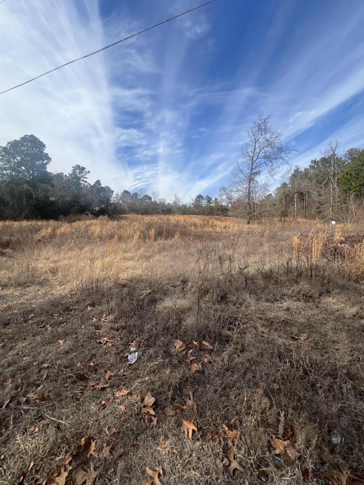 1650 Broad Street Leesville, SC 29070 - Photo 4 of 8