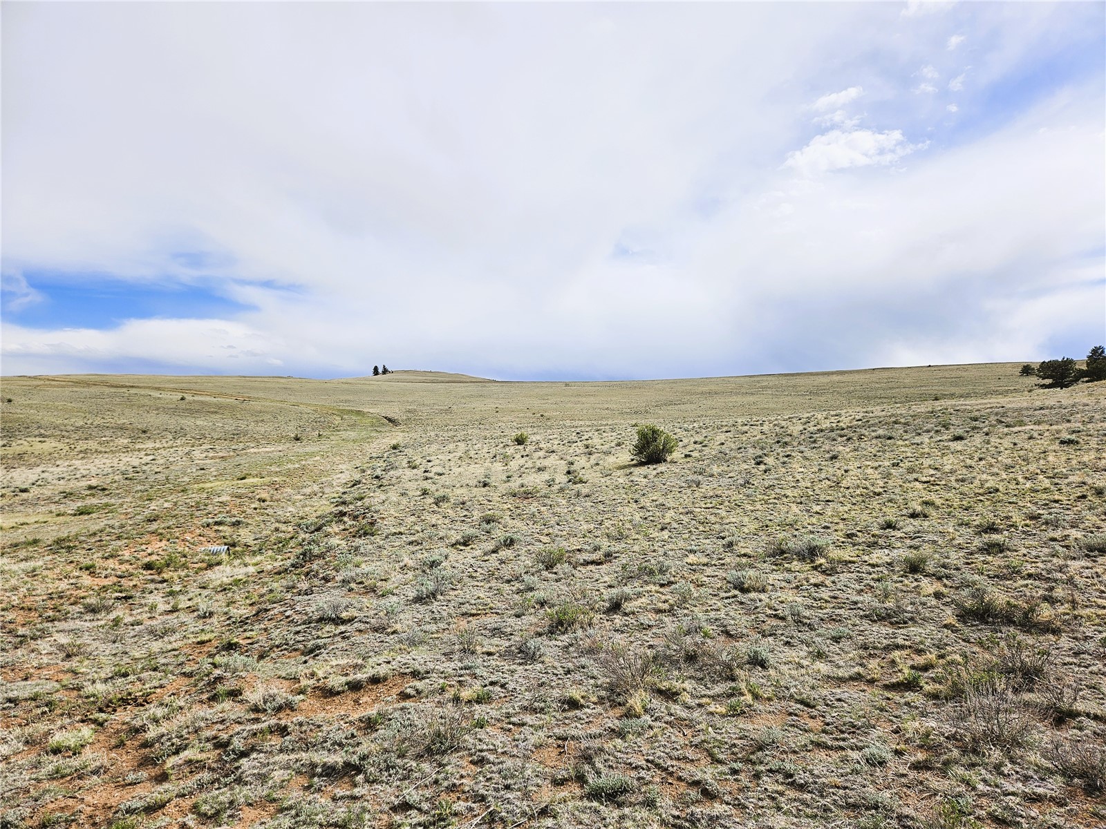 Pcs#24131 Chato Road Hartsel, CO 80449 - Photo 20 of 28