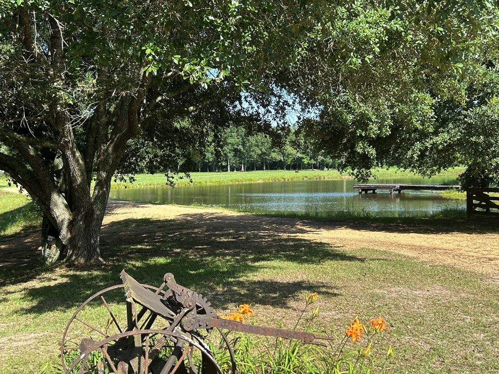 86 Kennedy Road Tylertown, MS 39667 - Photo 7 of 33 Photo 7