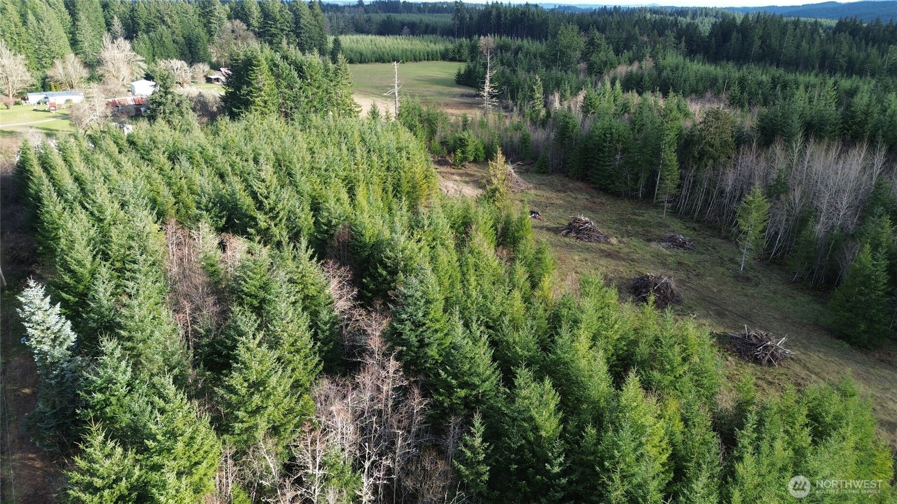9605 Prather Road Southwest Centralia, WA 98531 - Photo 1 of 15 a view of a garden with a lake