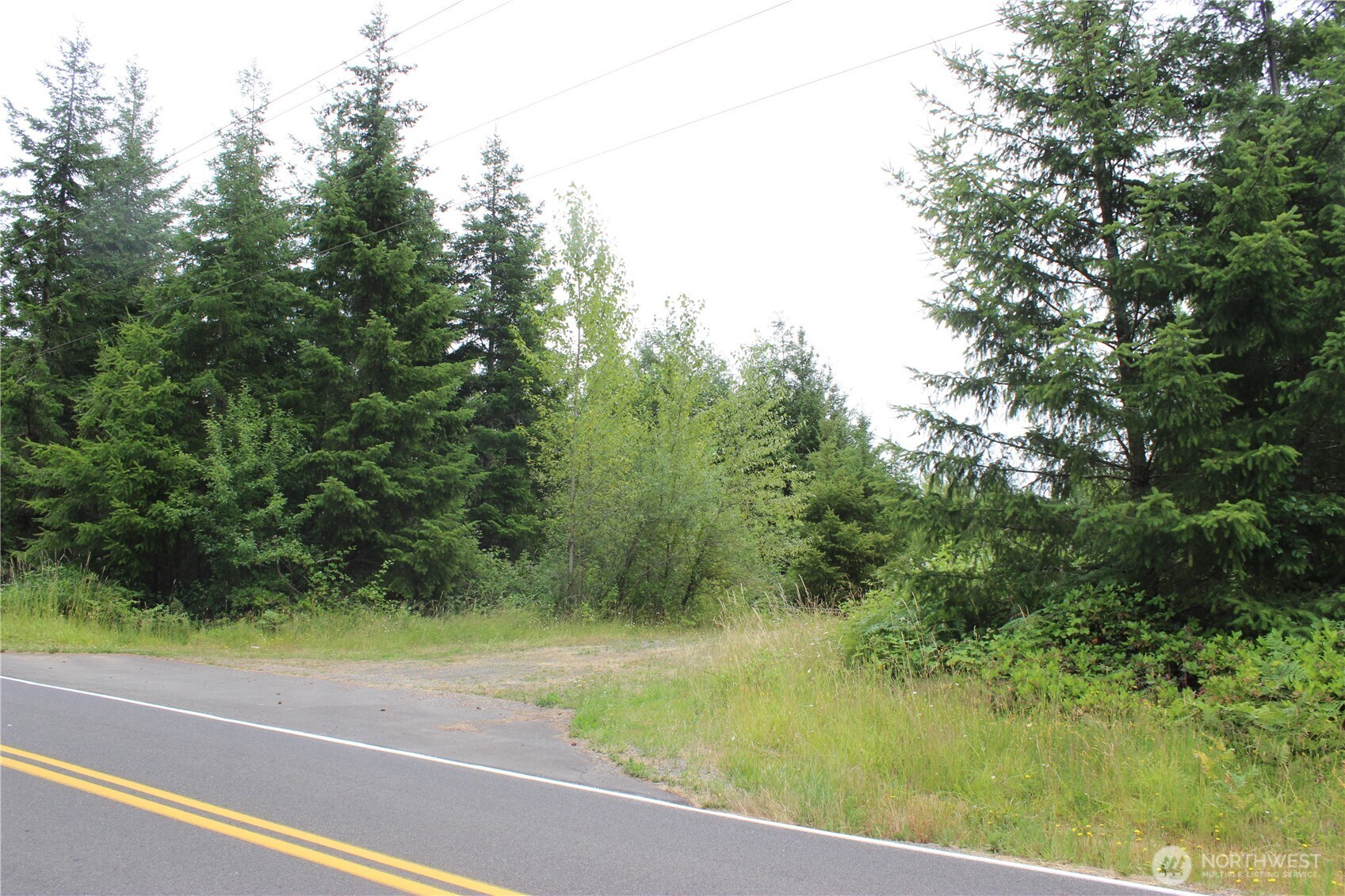 9605 Prather Road Southwest Centralia, WA 98531 - Photo 11 of 15 a view of a yard with a trees