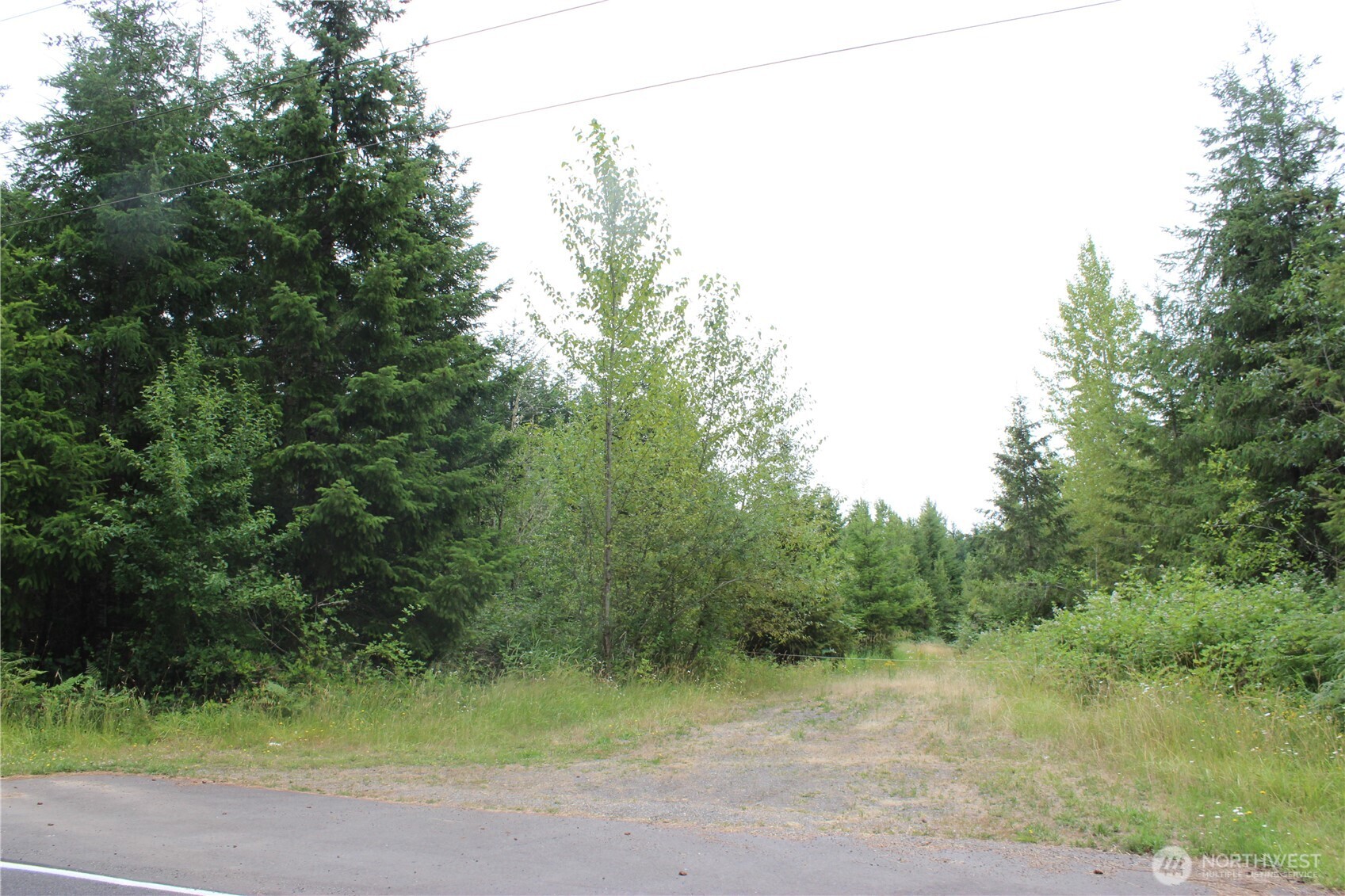 9605 Prather Road Southwest Centralia, WA 98531 - Photo 12 of 15 a view of a yard with a tree