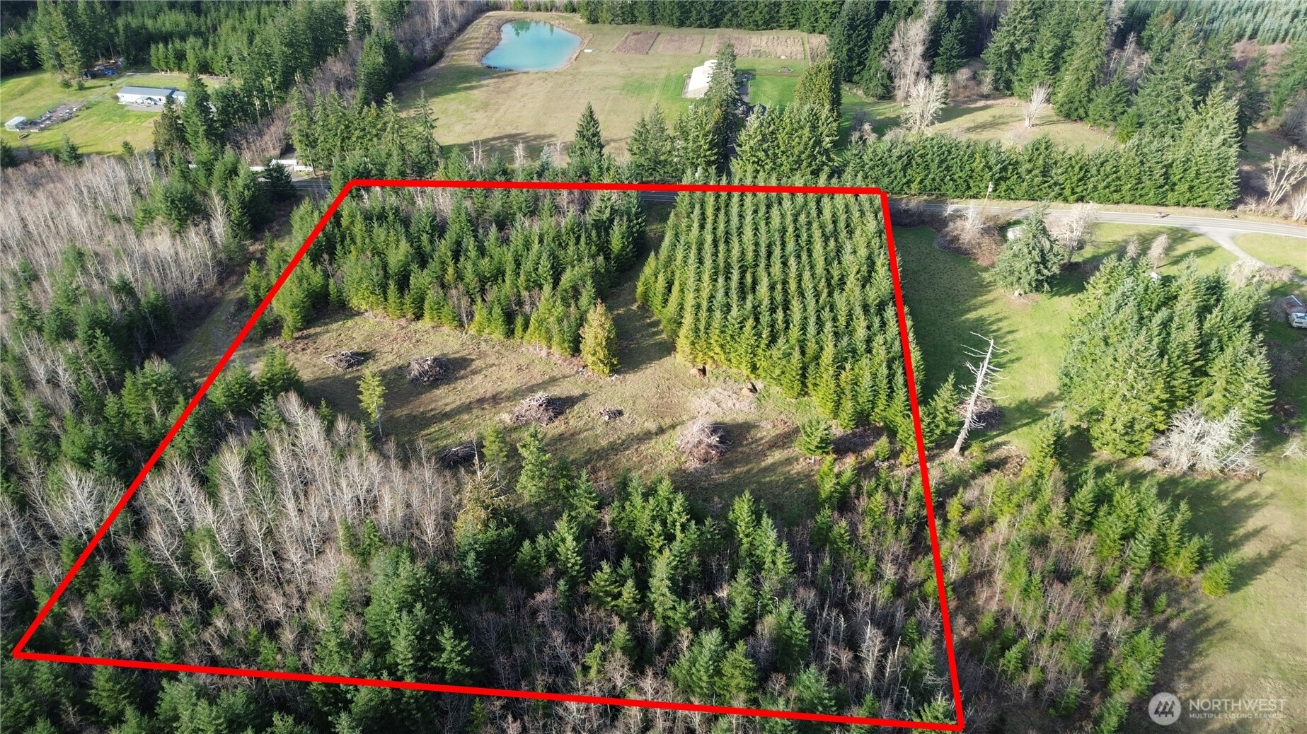 9605 Prather Road Southwest Centralia, WA 98531 - Photo 14 of 15 a view of a flower in a garden