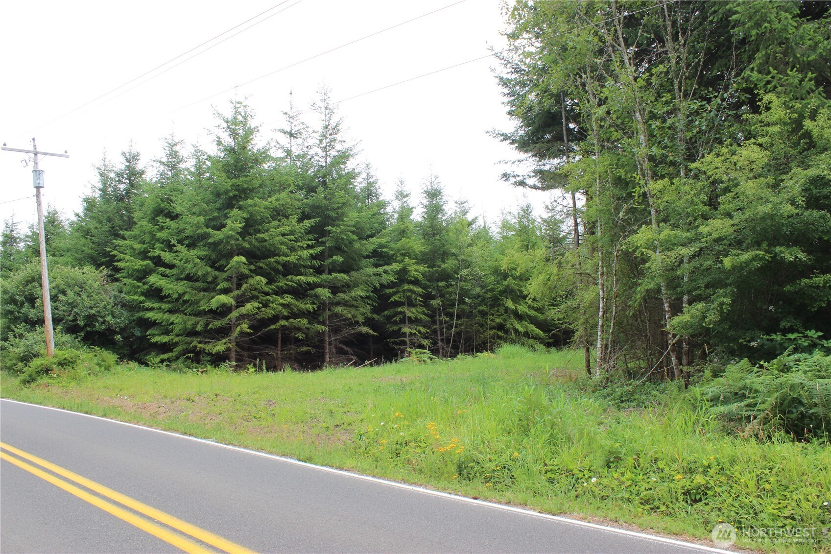 9605 Prather Road Southwest Centralia, WA 98531 - Photo 3 of 15 a view of a garden from a window