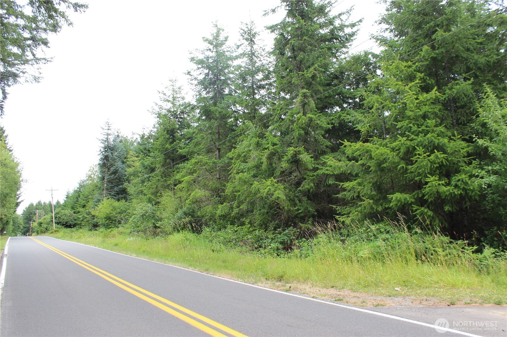9605 Prather Road Southwest Centralia, WA 98531 - Photo 4 of 15 a view of a forest