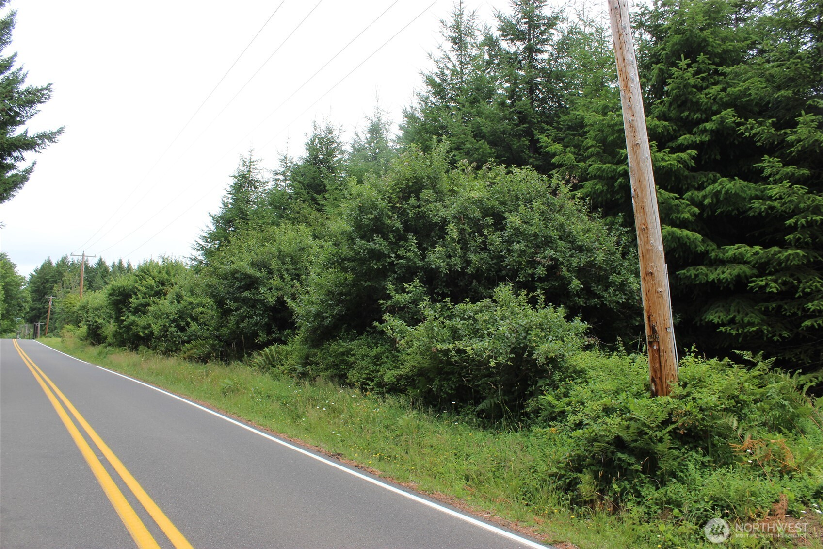 9605 Prather Road Southwest Centralia, WA 98531 - Photo 6 of 15 a view of a green field with plants and large trees