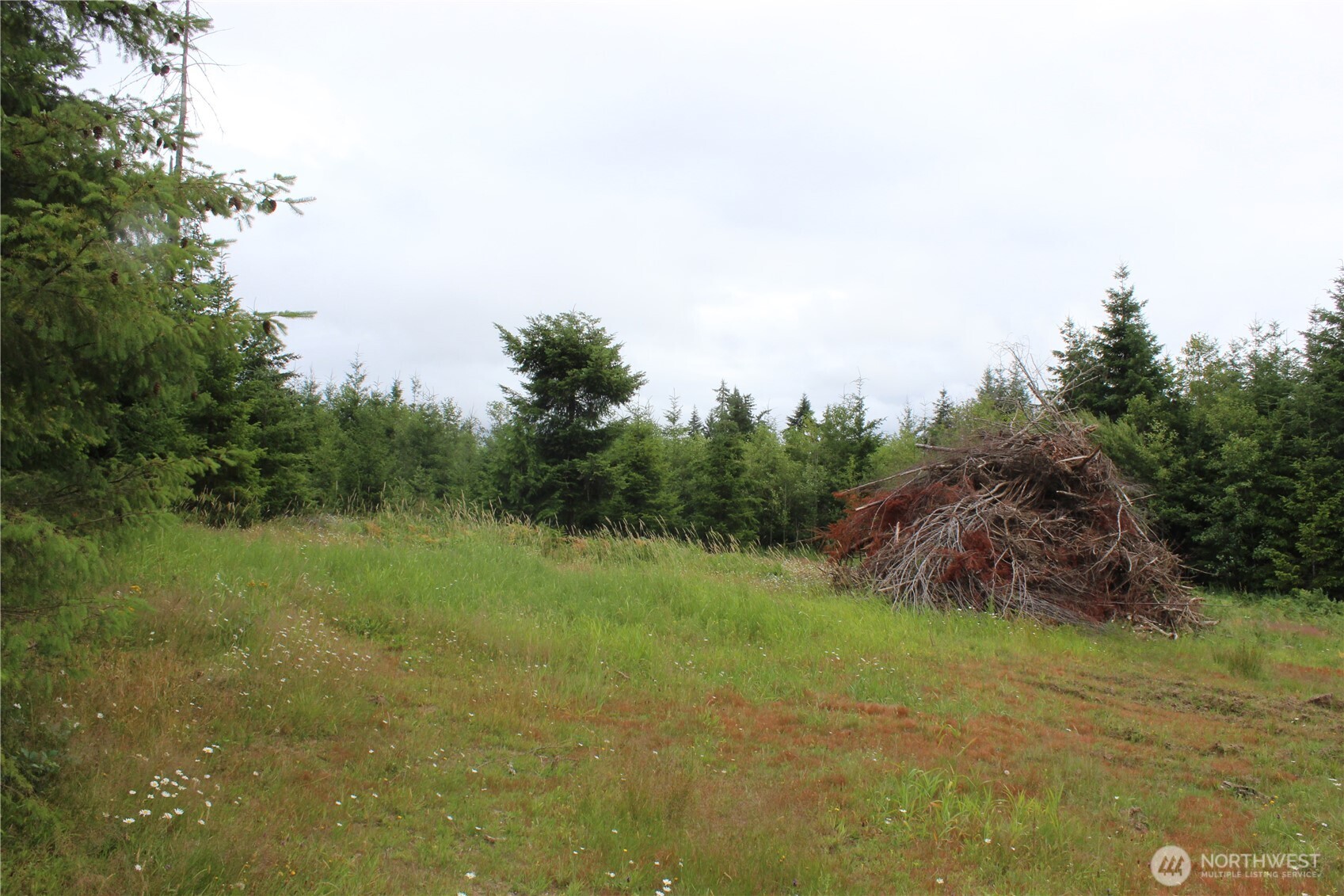 9605 Prather Road Southwest Centralia, WA 98531 - Photo 8 of 15 a big yard with lots of green space