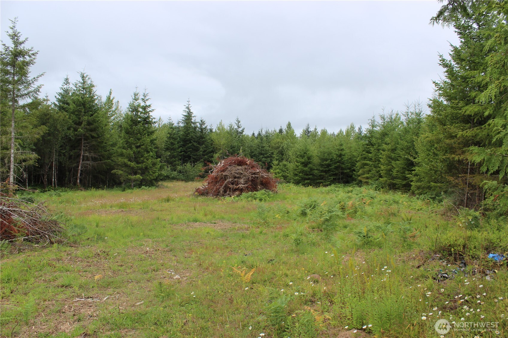 9605 Prather Road Southwest Centralia, WA 98531 - Photo 9 of 15 a view of a field of grass and trees