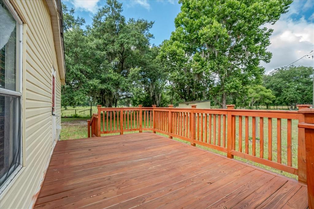 33608 Mandrake Road Wesley Chapel, FL 33543 - Photo 22 of 34 Gallery Image 22