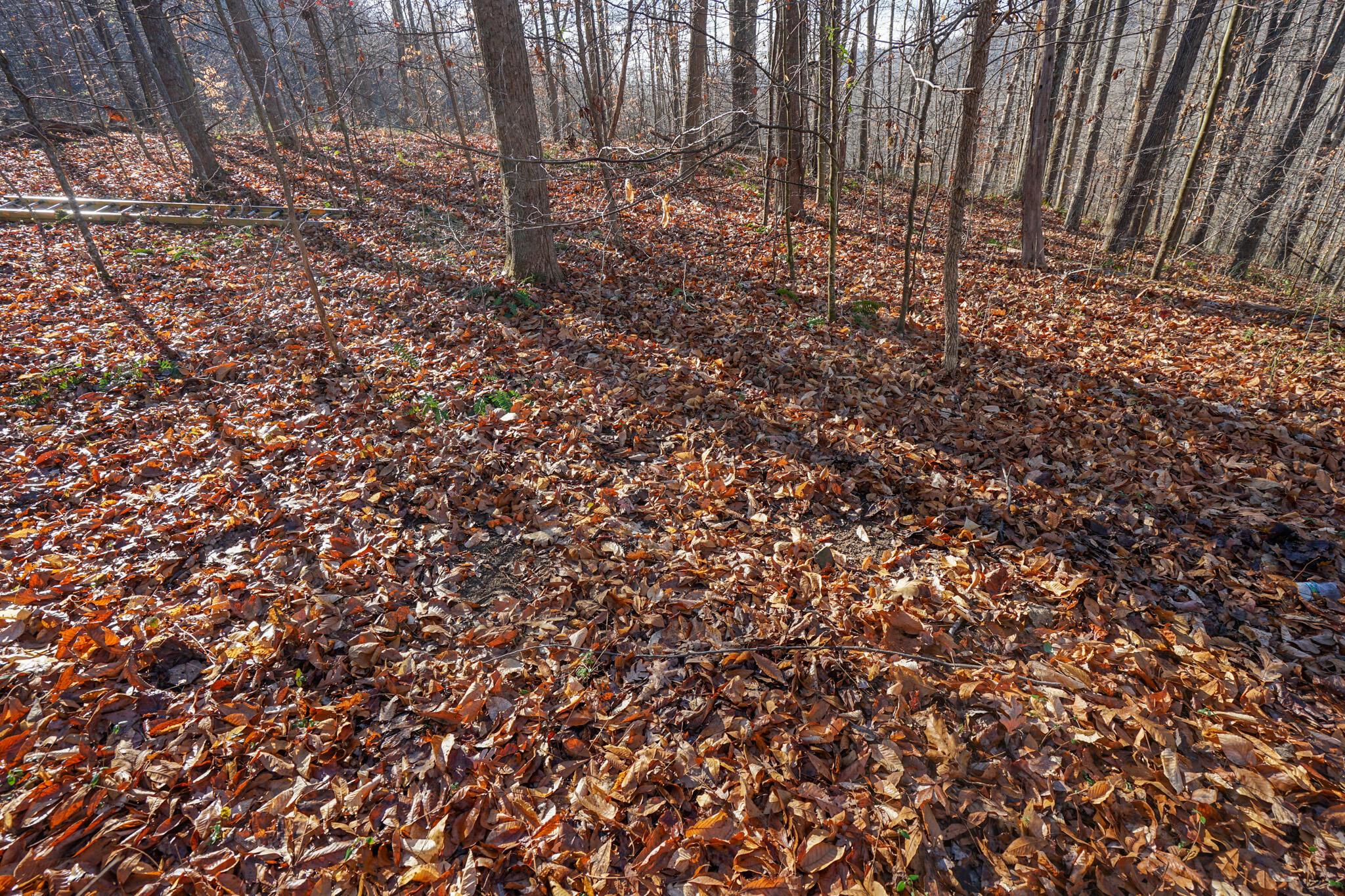 2430 Long Lick Road Stout, OH 45684 - Photo 19 of 47 DSC09730