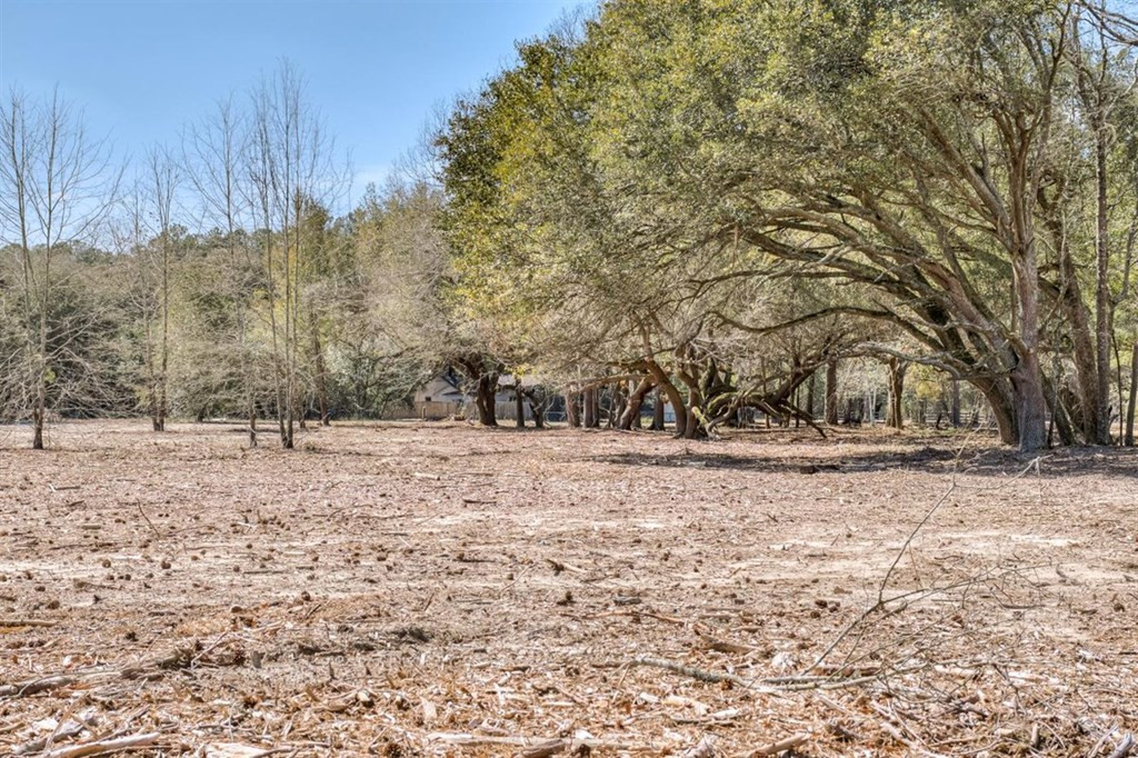 273 Redd Branch Road Aiken, SC 29801 - Photo 11 of 51