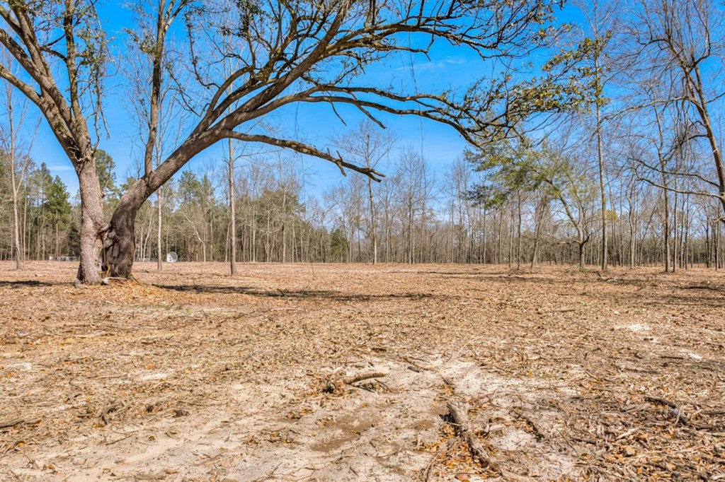 273 Redd Branch Road Aiken, SC 29801 - Photo 41 of 51