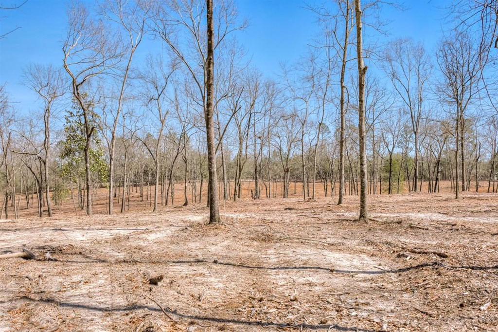 273 Redd Branch Road Aiken, SC 29801 - Photo 42 of 51