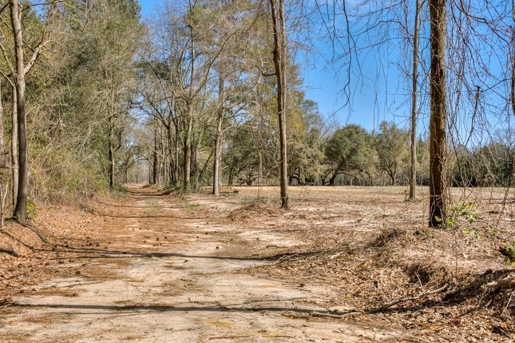 273 Redd Branch Road Aiken, SC 29801 - Photo 44 of 51