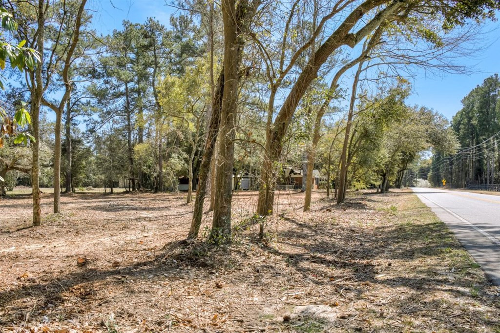 273 Redd Branch Road Aiken, SC 29801 - Photo 45 of 51