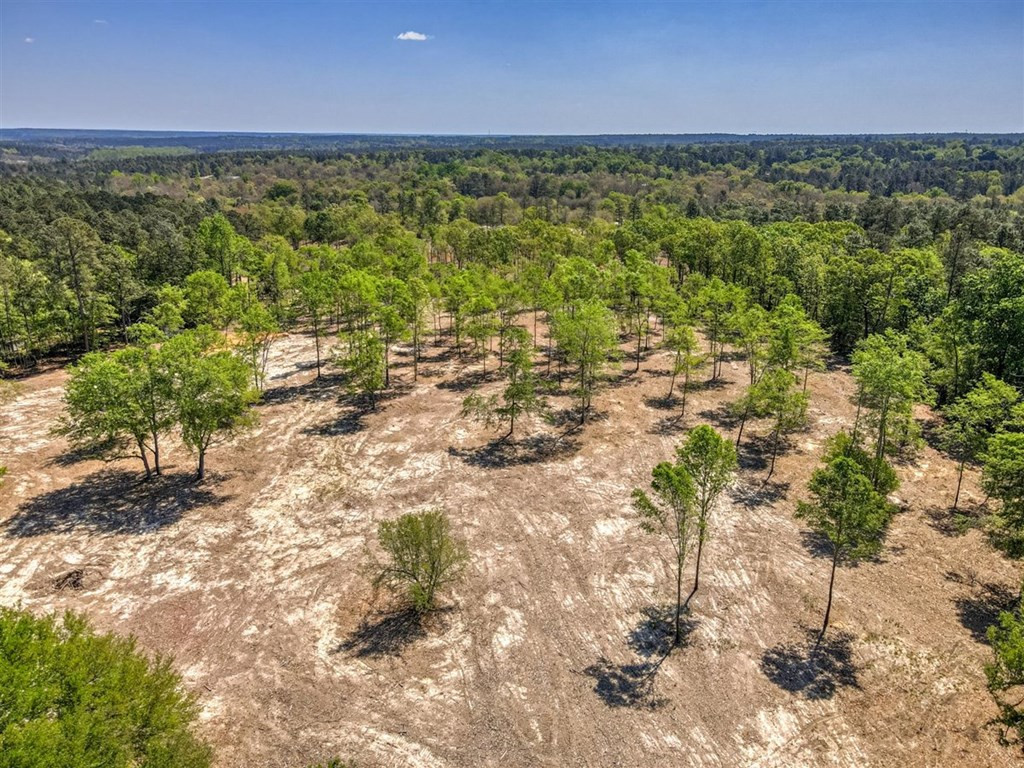 273 Redd Branch Road Aiken, SC 29801 - Photo 48 of 51