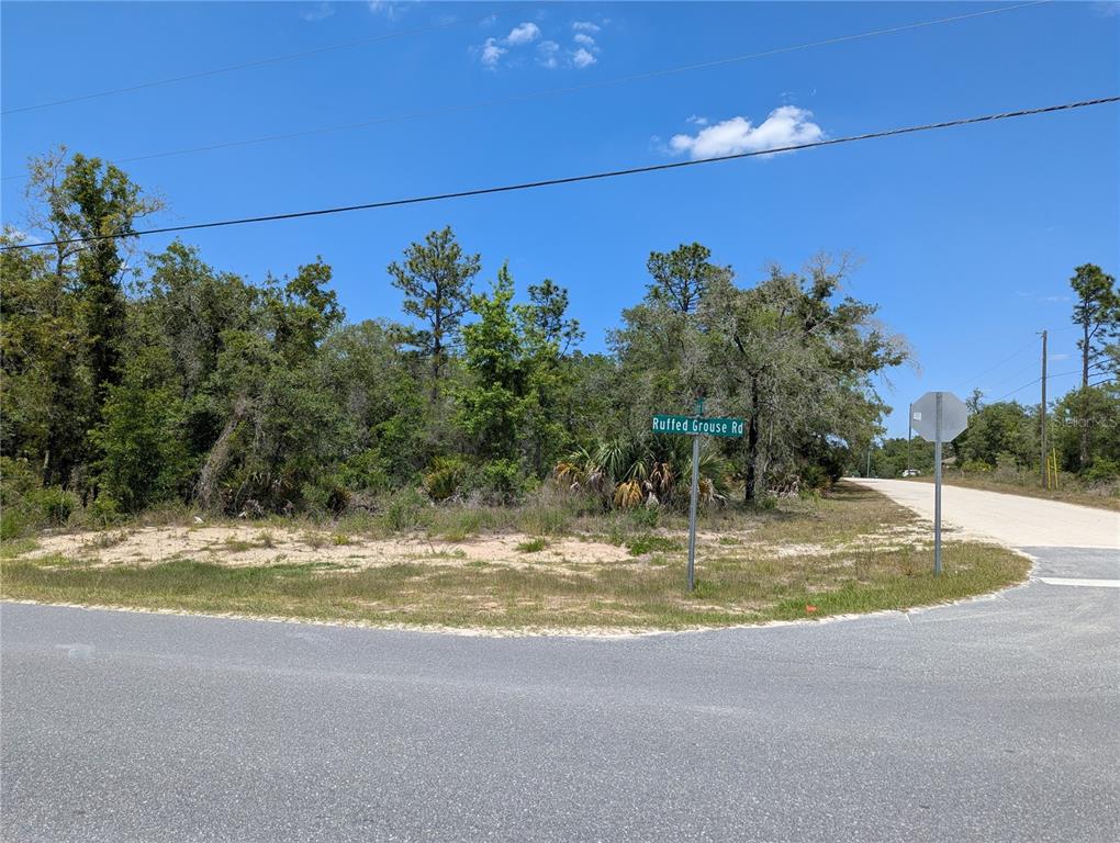Goldfinch Road Weeki Wachee, FL 34614 - Photo 8 of 10 Gallery Image 8