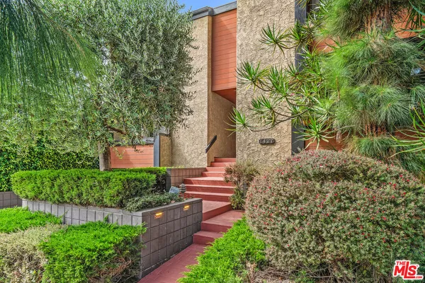 a view of a garden with plants