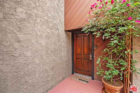 a potted plant sitting in front of a door