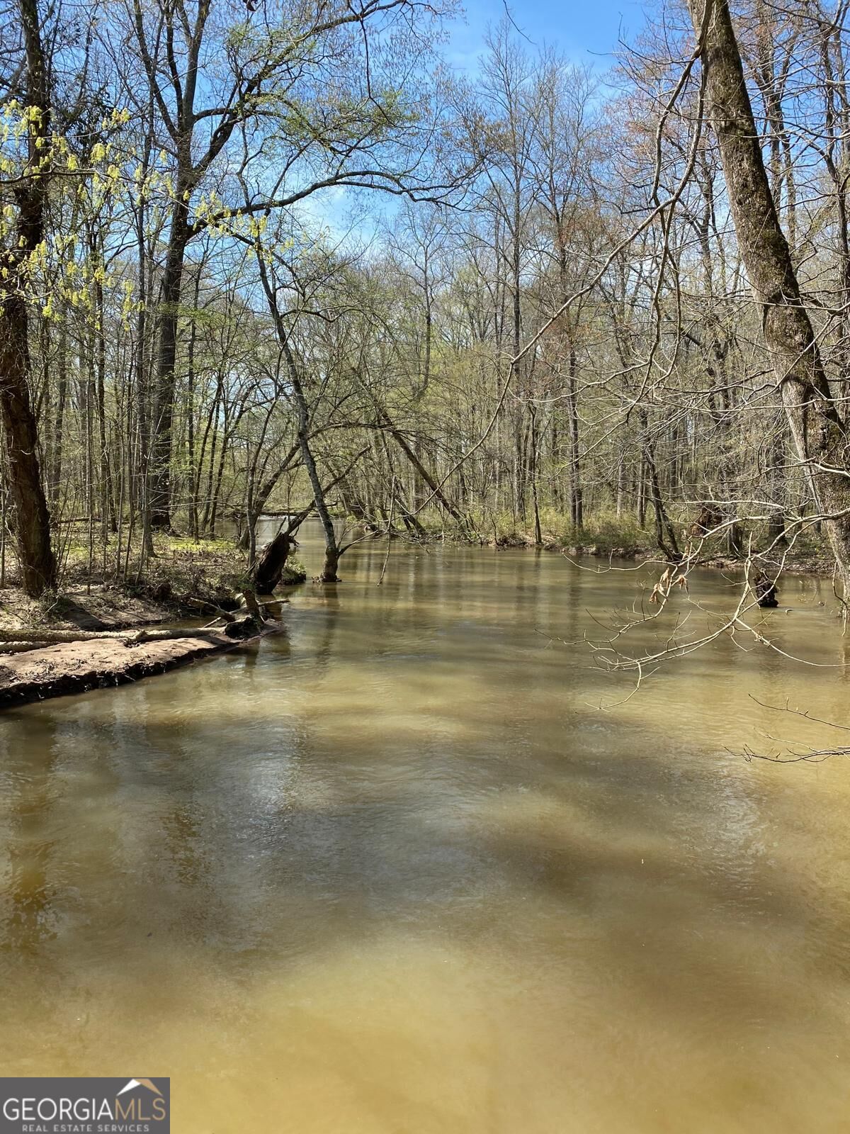 111-acres Lillian Strong Road Carlton, GA 30627 - Photo 26 of 29 Gallery Image 26