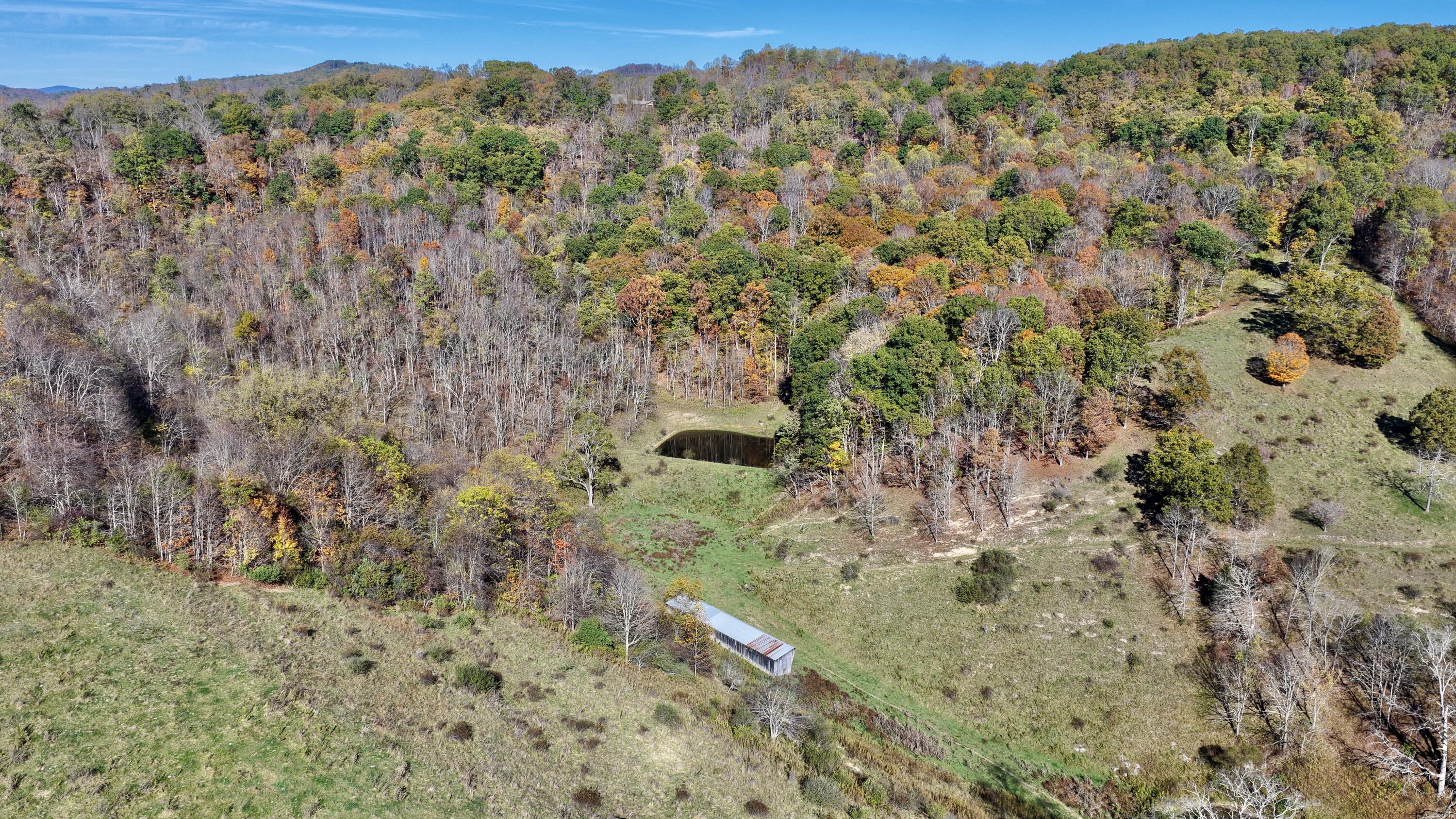 886 Trout Run Road Asbury, WV 24916 - Photo 66 of 99 Pond in the distance