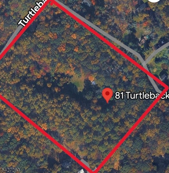 81 Turtleback Road Califon, NJ 07830 - Photo 2 of 48