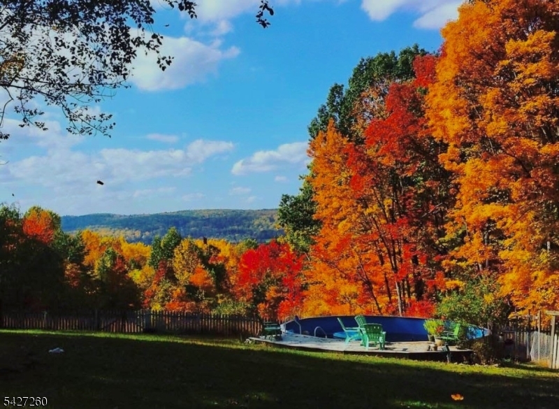 9 Sand Hill Road Califon, NJ 07830 - Photo 3 of 46