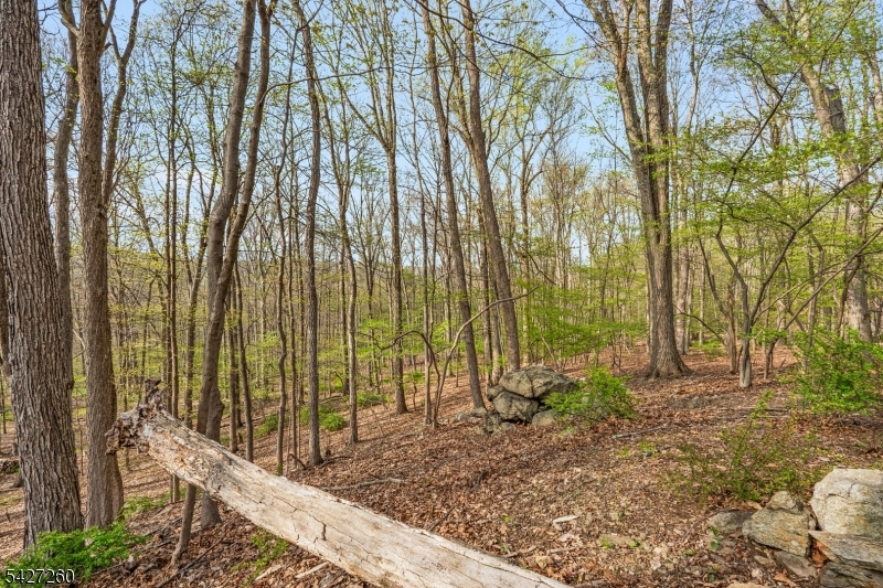 9 Sand Hill Road Califon, NJ 07830 - Photo 37 of 46