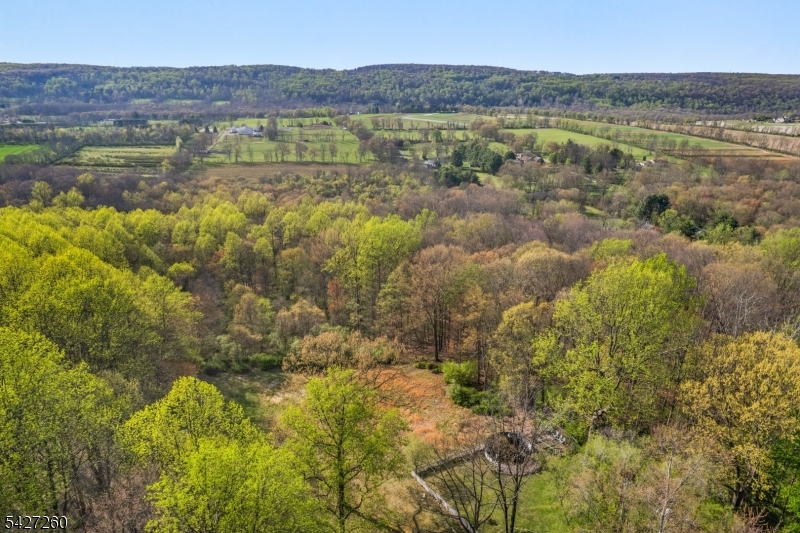 9 Sand Hill Road Califon, NJ 07830 - Photo 38 of 46