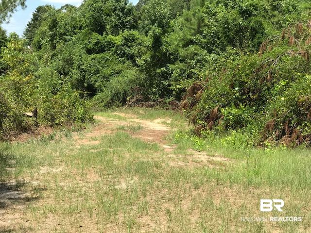 339 Blackburn Lane Brewton, AL 36426 - Photo 7 of 13 Land